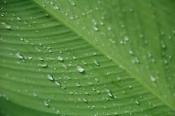 1655260494600 Water27 1655260494600 Water27