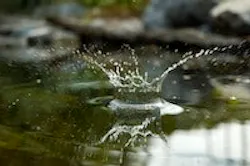 1655260498606 Water12 0 1655260498606 Water12 0