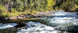 1655260508449 Sws River 1655260508449 Sws River