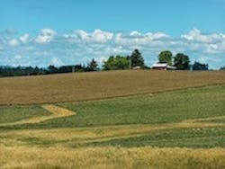 1655260509365 Farm 0 1655260509365 Farm 0