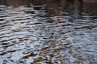 1655260513389 Water8 0