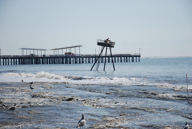 1655260515319 9841992245 Aa2b2af6ab Z