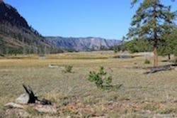 1655260523162 Basin 1655260523162 Basin