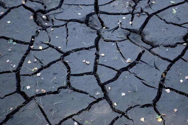 1655260523570 Drought4