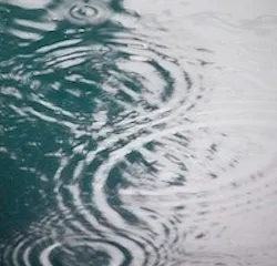 1655260533457 Rain1 1 1655260533457 Rain1 1