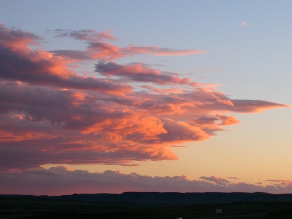 1655260534161-montana