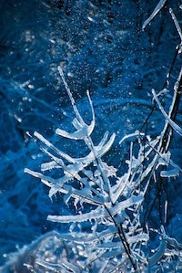 1655260535389 Snow