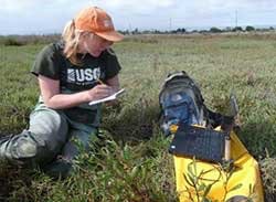 1655260537084 Field Work Tn