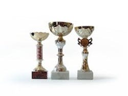 1655260537359 Award 5 1655260537359 Award 5