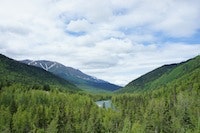 1655260537802 Alaska