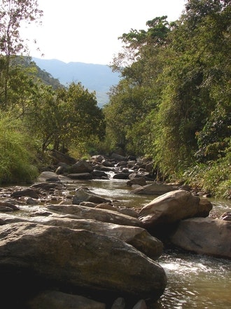 1655260539120 River8