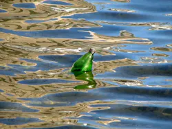 1655260541463 Pollution 1655260541463 Pollution