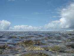 1655260542887 Water39 1655260542887 Water39