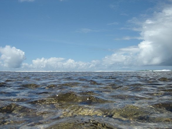 1655260542924 Water41