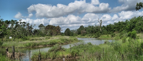 1655260544174 Slider Template