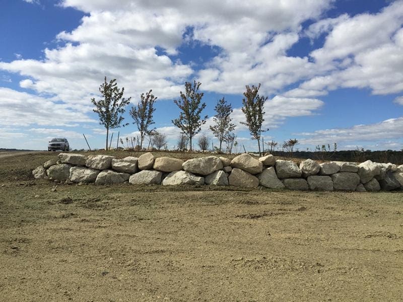 1655260547119 Unnamed 22 0