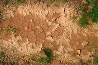 1655260549901 Drought 0