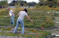 1655260558658 Unnamed 41 1655260558658 Unnamed 41