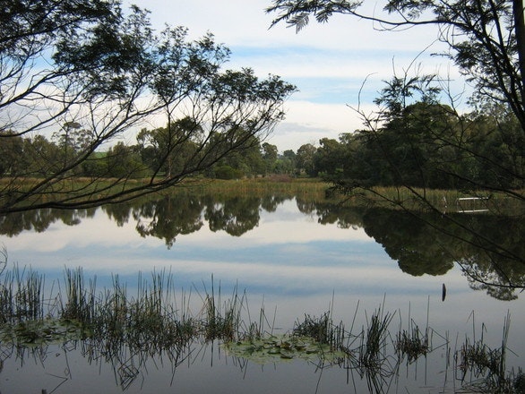 1655260558949 Wetland 0