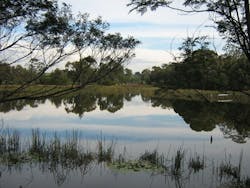 1655260558949 Wetland 0 1655260558949 Wetland 0