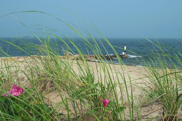 Cape Cod Communities to Receive EPA Assistance to Address Nitrogen ...