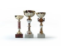 1655260567700 Award 8