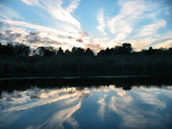 1655260569496 Naturearoundthelake51399056 1655260569496 Naturearoundthelake51399056