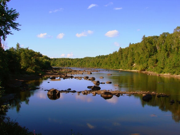 1655260572253 Riverblue1409042 Sws