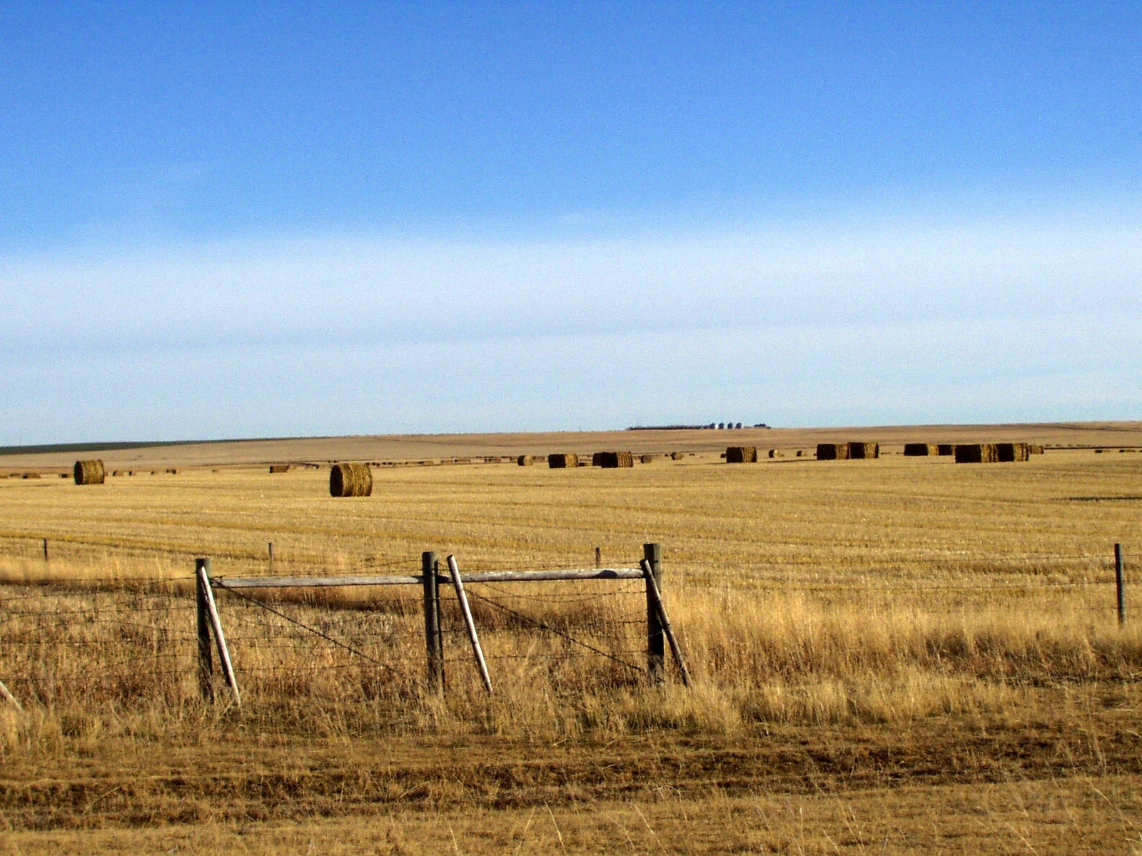1655260576520 Wheatfield1529779