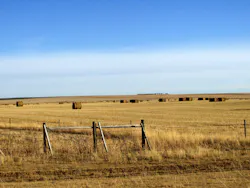 1655260576520 Wheatfield1529779 1655260576520 Wheatfield1529779
