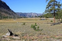 WER Research Showcases Infiltration Basin Benefits Stormwater Solutions