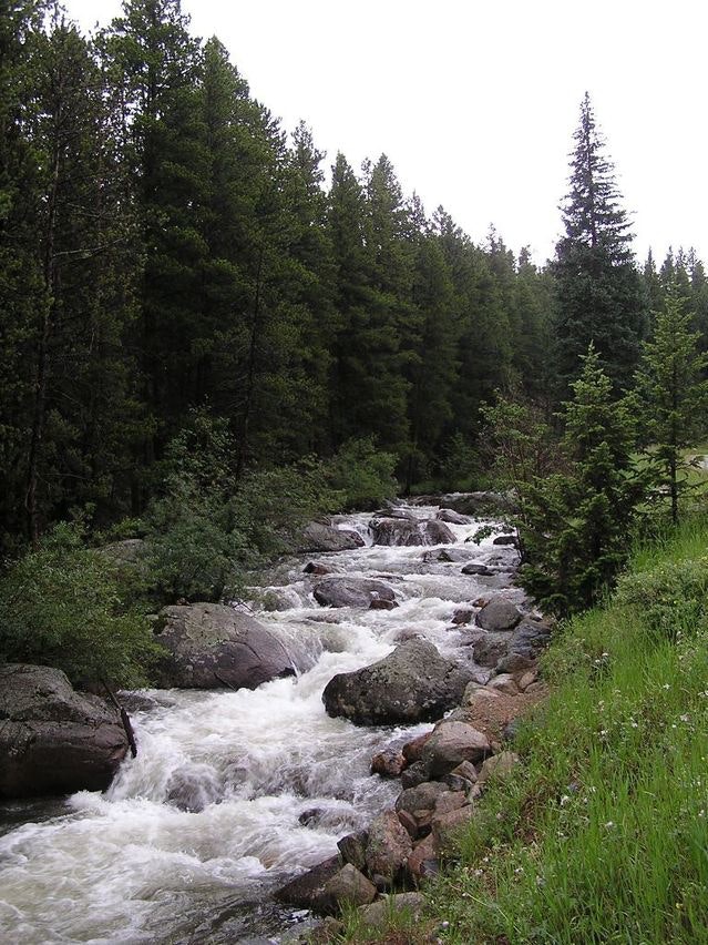 1655260590863 Iwla Report