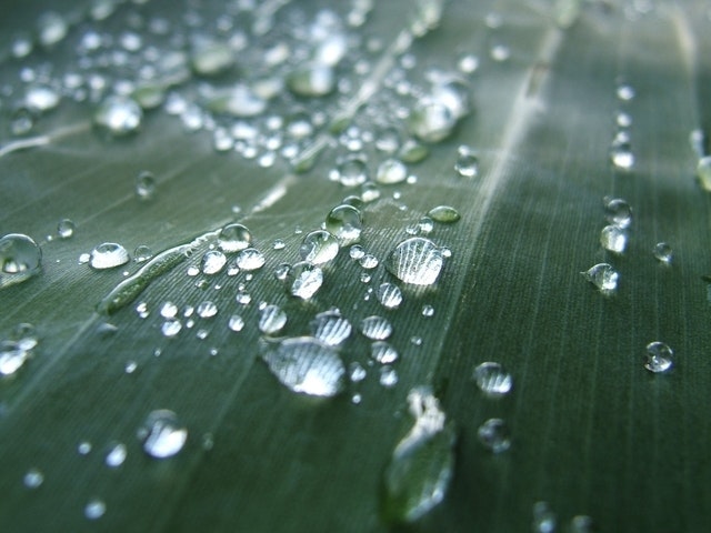 1655260593290-great_water_cities_noaa