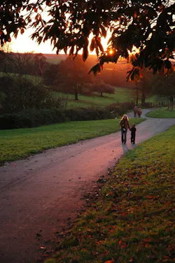 1655260601972 6 1655260601972 6