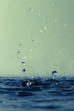 1655260608656 6 1655260608656 6