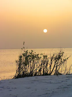 1655260614020 Coastalevening1391742639x853 1655260614020 Coastalevening1391742639x853