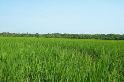 1655260630774 10 1655260630774 10