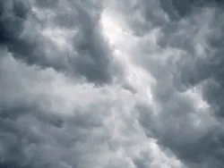1655260637904 12