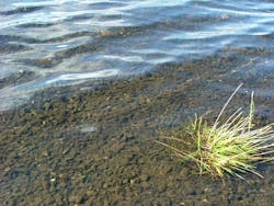 1655260639093 12 1655260639093 12