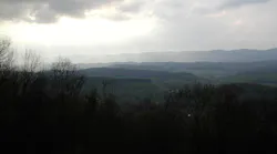 1655260641738-1