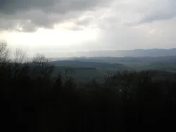 1655260641738 1