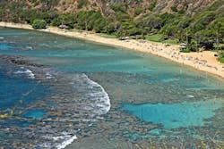 1655260648142 1 1655260648142 1