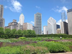 1655260653286 2 1655260653286 2