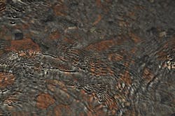 1655260674358 8 1655260674358 8