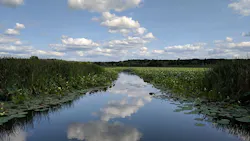 1655260682375 11 1655260682375 11