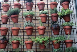 1655260682879 11 1655260682879 11