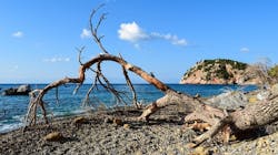 1655260690195 1 1655260690195 1