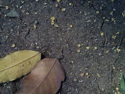 1655260695144 1 1655260695144 1