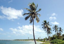 1655260698837 2 1655260698837 2