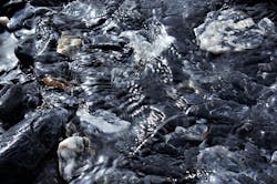 1655260700965 2 1655260700965 2